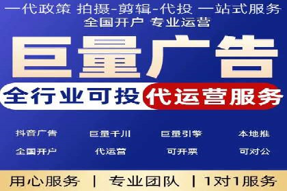 行业领先企业的SEM广告投放策略案例